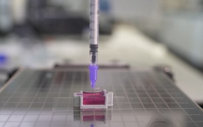 Scientists use novel ink to 3D-print ‘bone’ with living cells