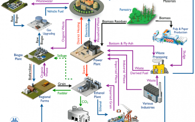 Circular Economy Under-explored in 3D Printing, Say Researchers