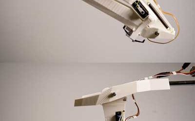 Bio-inspired robotics: learning from dragonflies