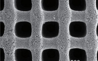 Ultralow-Temperature Supercapacitors Using Porous Carbon Aerogel – Could Power Mars & Polar Missions