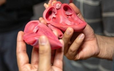 Human Organs Created On 3D Printer To Teach Surgical Techniques